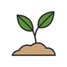 Plant's